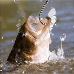 Hawkeye Marine Sonic Laser Scale SP -Simms Shop 1307049 800 auto